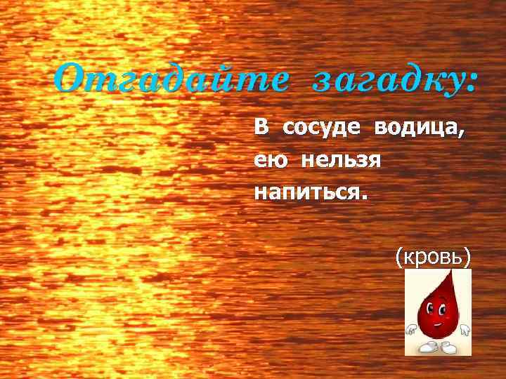 Отгадайте загадку: В сосуде водица, ею нельзя напиться. (кровь) 