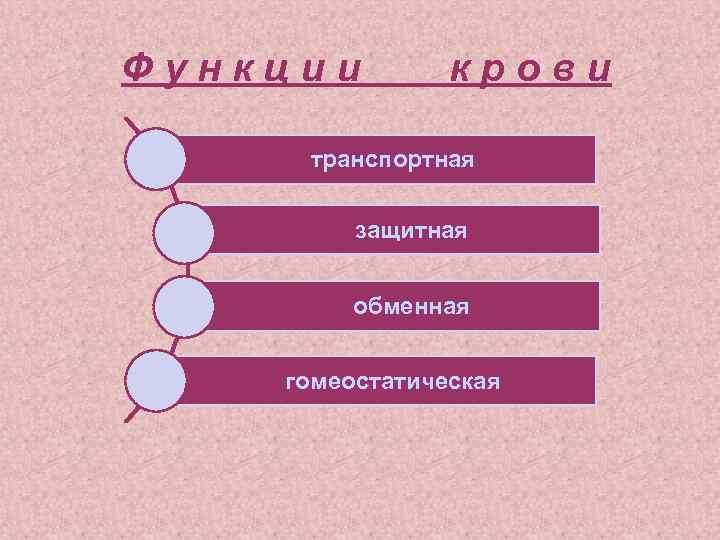 Функции крови транспортная защитная обменная гомеостатическая 