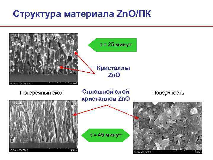 Структура материала Zn. O/ПК t = 25 минут Кристаллы Zn. O Поперечный скол Сплошной