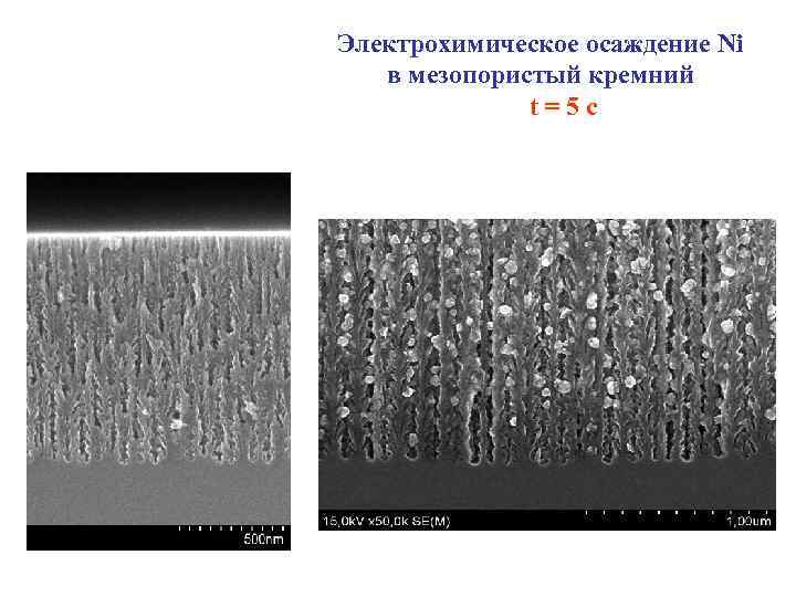 Электрохимическое осаждение Ni в мезопористый кремний t = 5 c 
