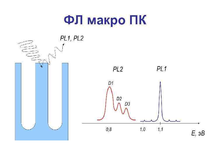 ФЛ макро ПК 