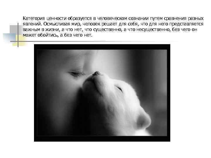 Категория ценности образуется в человеческом сознании путем сравнения разных явлений. Осмысливая мир, человек решает