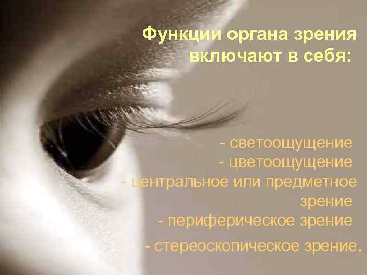 Функции органа зрения включают в себя: - светоощущение - центральное или предметное зрение -