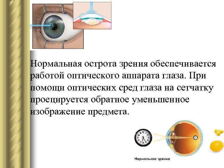Перечислите оптические среды глаза. Оптический аппарат глаза. Прозрачные оптические среды глаза. Функции оптического аппарата глаза.