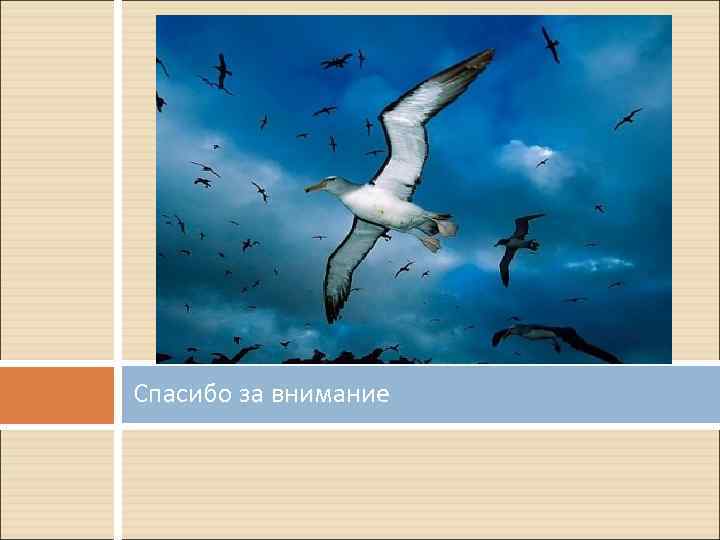 Спасибо за внимание 