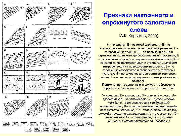 Признаки наклонного и опрокинутого залегания слоев (А. К. Корсаков, 2009) А - по фауне
