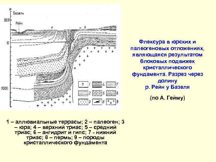 Флексура в юрских и палеогеновых отложениях, являющаяся результатом блоковых подвижек кристаллического фундамента. Разрез через