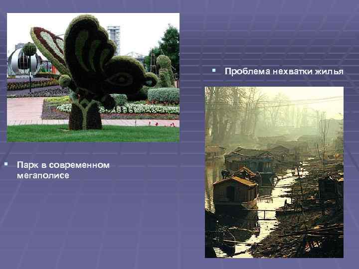 § Проблема нехватки жилья § Парк в современном мегаполисе 