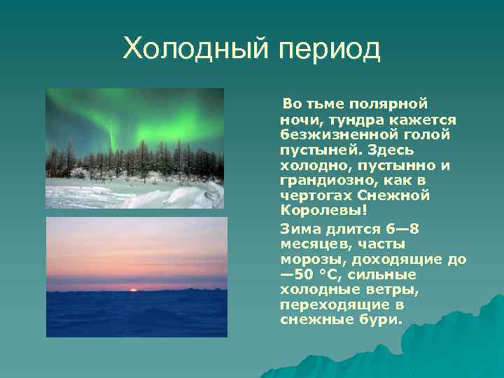 Холодный период Во тьме полярной ночи, тундра кажется безжизненной голой пустыней. Здесь холодно, пустынно