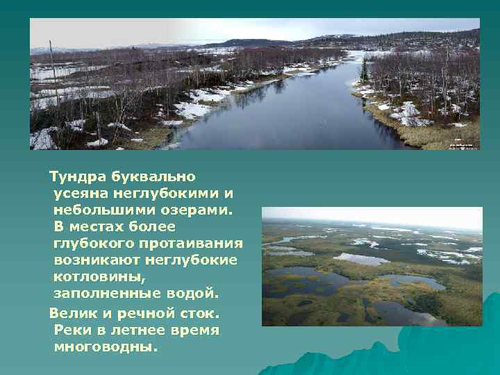 Тундра буквально усеяна неглубокими и небольшими озерами. В местах более глубокого протаивания возникают неглубокие