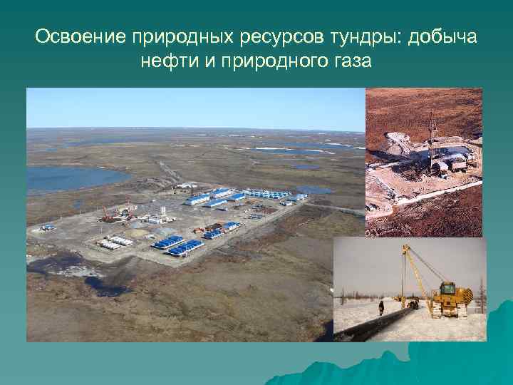 Освоение природных ресурсов тундры: добыча нефти и природного газа 