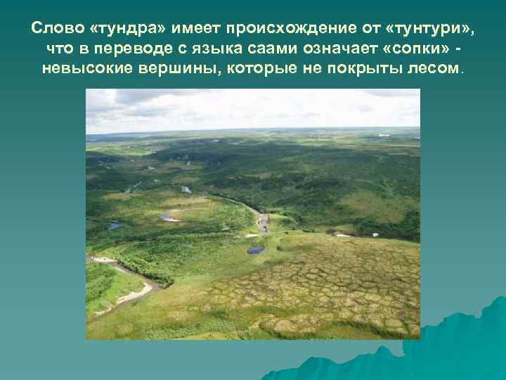 Слово «тундра» имеет происхождение от «тунтури» , что в переводе с языка саами означает