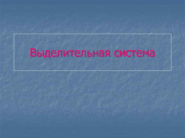 Выделительная система 