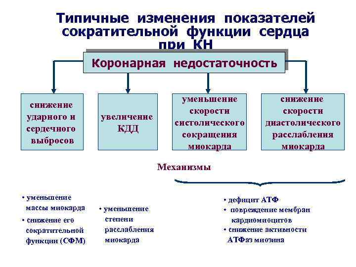 Перечислите изменения