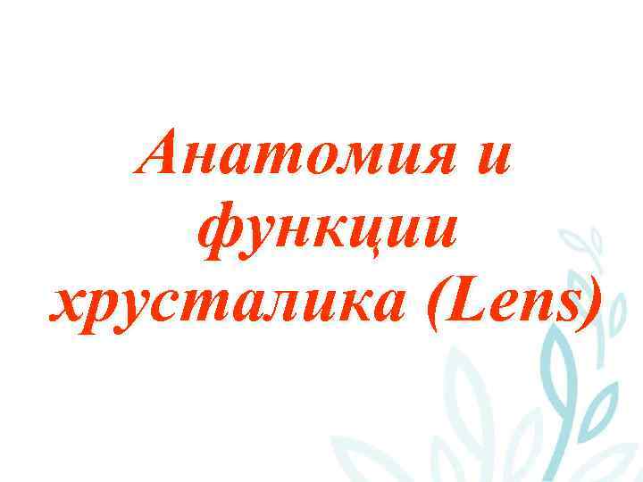 Анатомия и функции хрусталика (Lens) 
