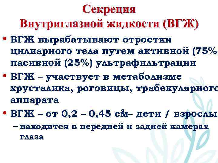 Секреция Внутриглазной жидкости (ВГЖ) • ВГЖ вырабатывают отростки цилиарного тела путем активной (75%) пасивной