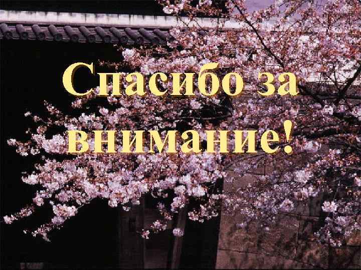 Спасибо за внимание! 