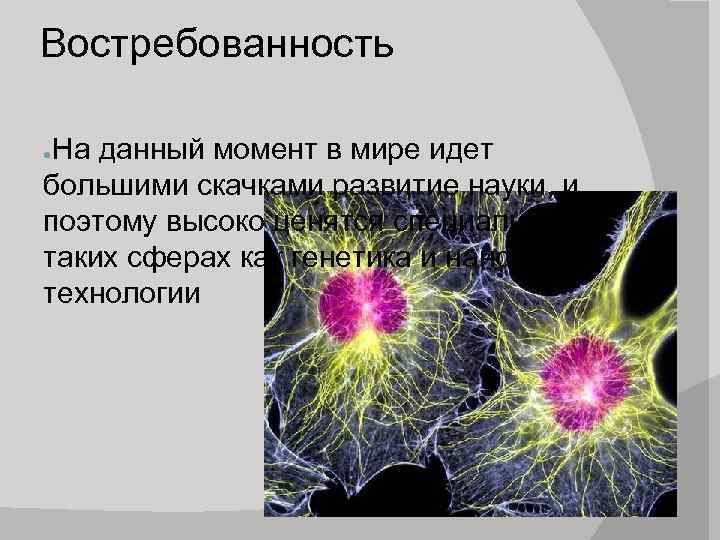 Востребованность На данный момент в мире идет большими скачками развитие науки, и поэтому высоко