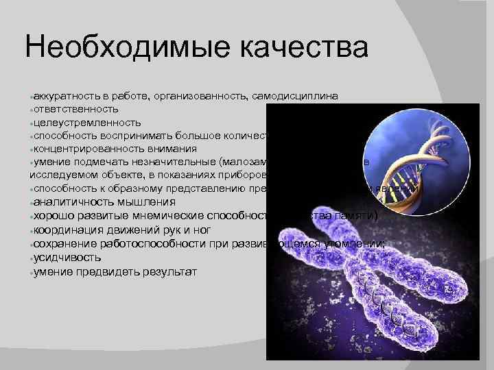 Необходимые качества аккуратность в работе, организованность, самодисциплина ●ответственность ●целеустремленность ●способность воспринимать большое количество информации;