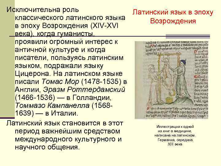 Исключительна роль Латинский язык в эпоху классического латинского языка Возрождения в эпоху Возрождения (XIV-XVI