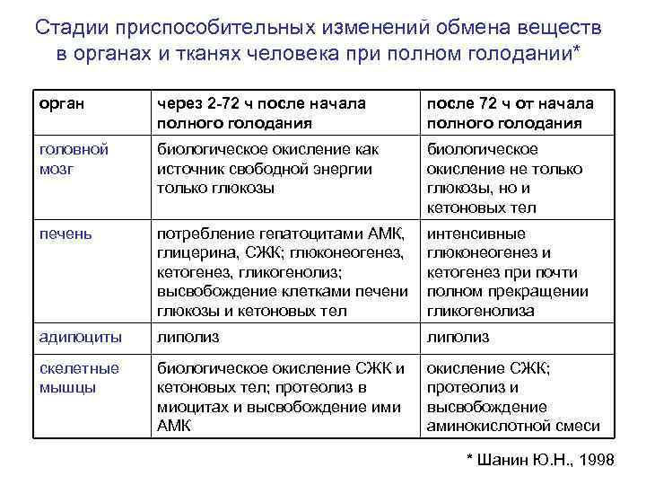 Голодание обмен веществ