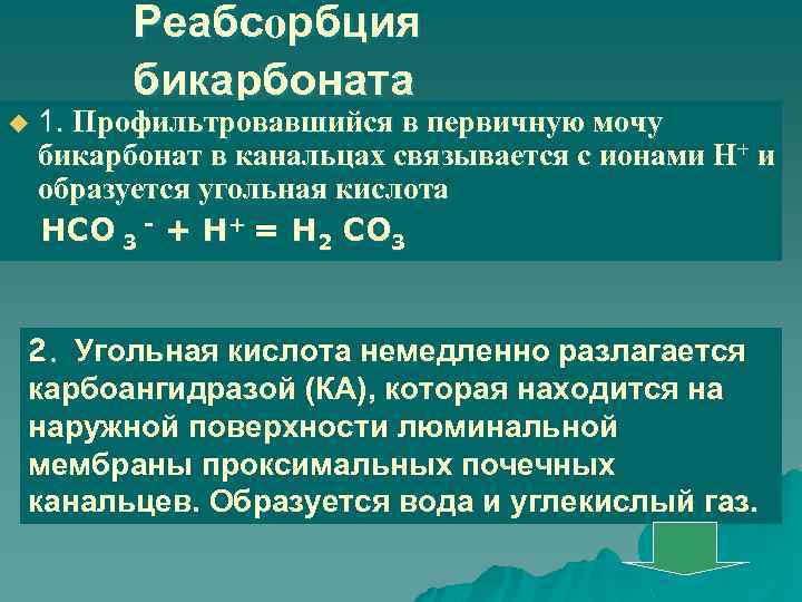 Реабсорбция бикарбоната u 1. Профильтровавшийся в первичную мочу бикарбонат в канальцах связывается с ионами