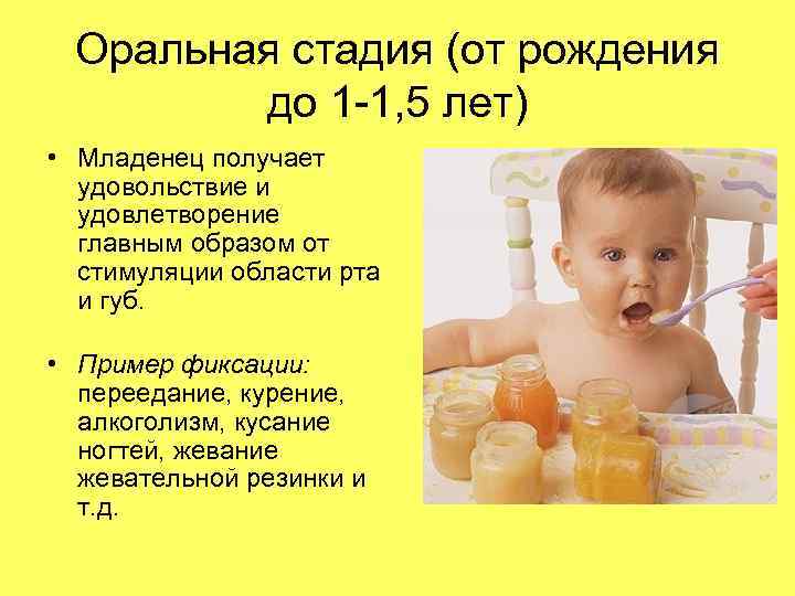 Оральная стадия (от рождения до 1 -1, 5 лет) • Младенец получает удовольствие и