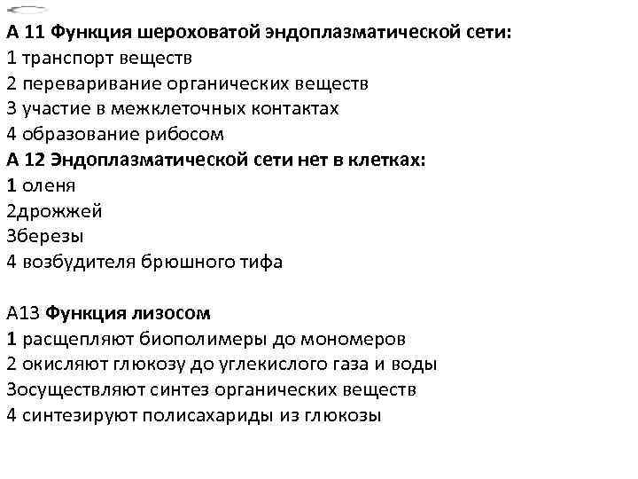 А 11 Функция шероховатой эндоплазматической сети: 1 транспорт веществ 2 переваривание органических веществ 3