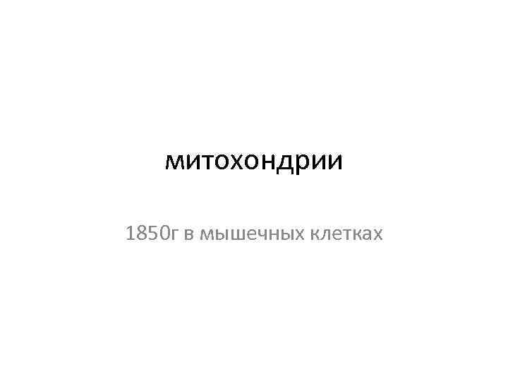 митохондрии 1850 г в мышечных клетках 