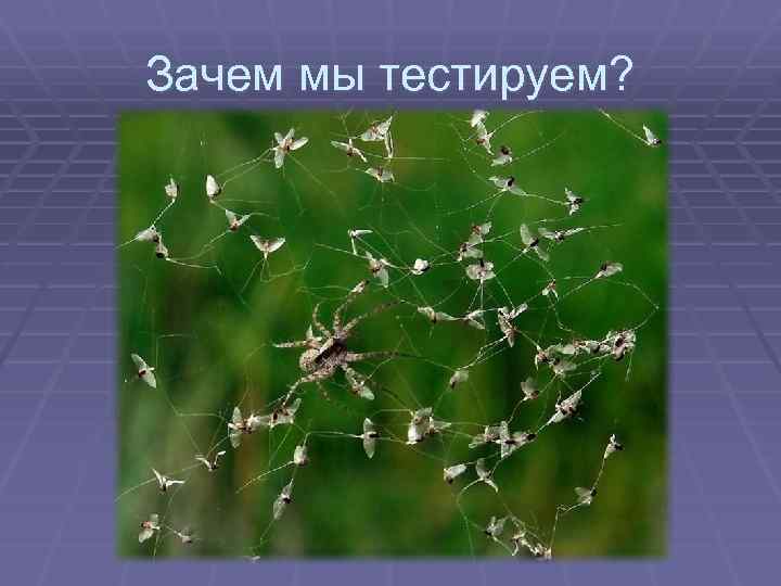 Зачем мы тестируем? 