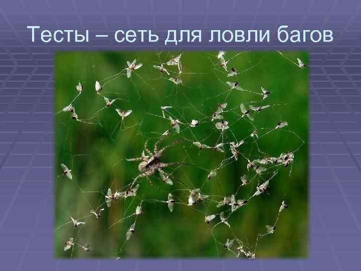 Тесты – сеть для ловли багов 