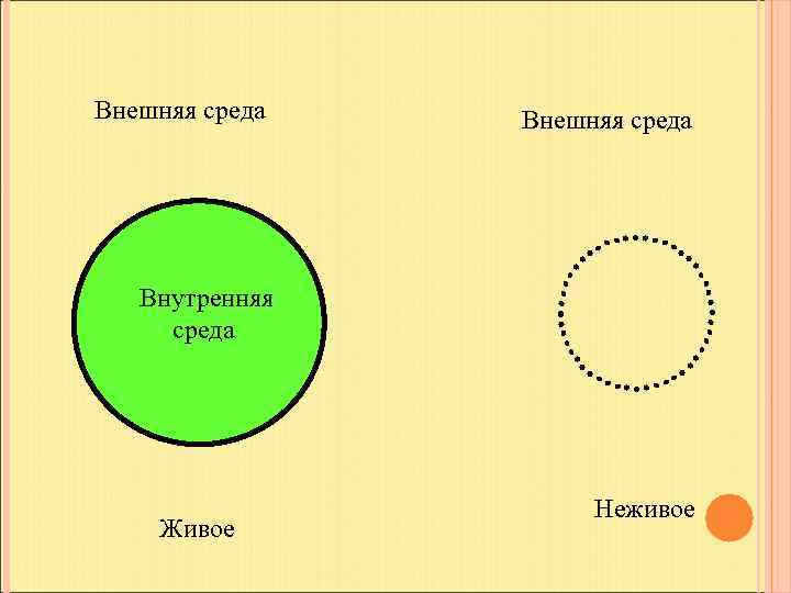 Внешняя среда Внутренняя среда Живое Неживое 