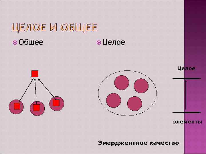  Общее Целое элементы Эмерджентное качество 