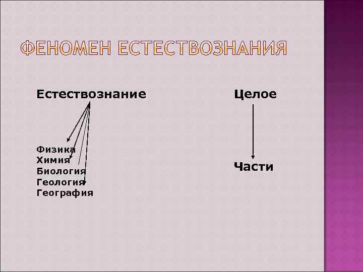 Естествознание Физика Химия Биология География Целое Части 