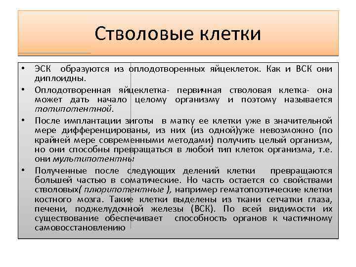 Стволовые клетки • ЭСК образуются из оплодотворенных яйцеклеток. Как и ВСК они диплоидны. •