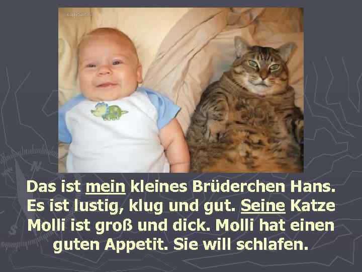 Das ist mein kleines Brüderchen Hans. Es ist lustig, klug und gut. Seine Katze