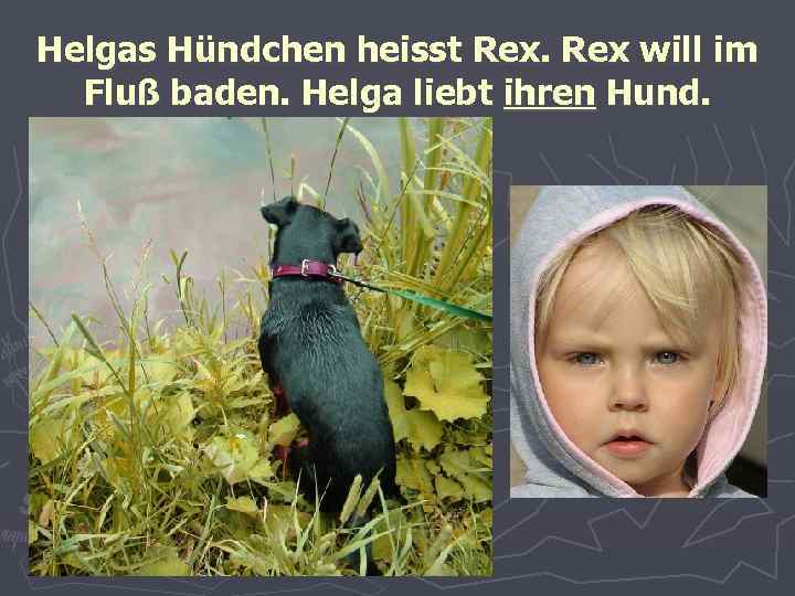 Helgas Hündchen heisst Rex will im Fluß baden. Helga liebt ihren Hund. 