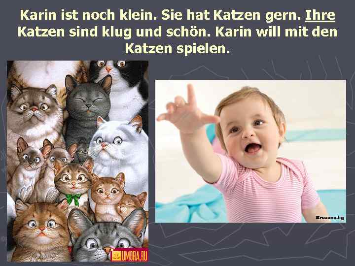 Karin ist noch klein. Sie hat Katzen gern. Ihre Katzen sind klug und schön.
