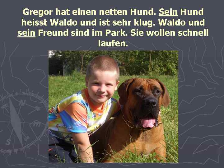 Gregor hat einen netten Hund. Sein Hund heisst Waldo und ist sehr klug. Waldo