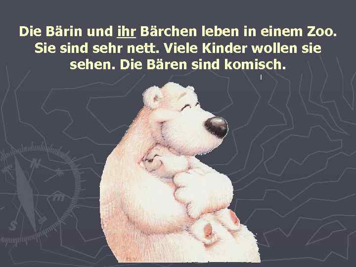 Die Bärin und ihr Bärchen leben in einem Zoo. Sie sind sehr nett. Viele