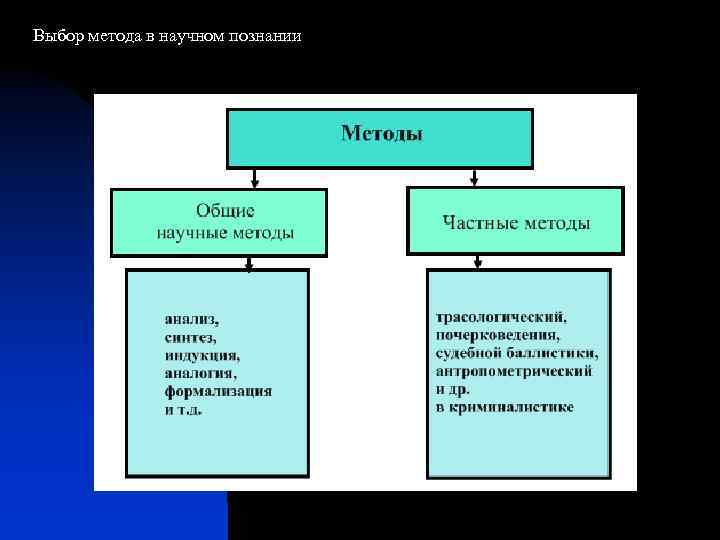 Выбор метода в научном познании 