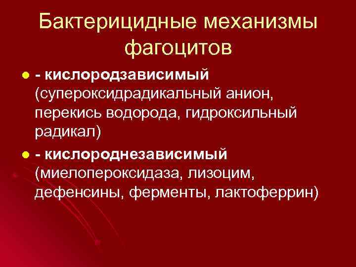 Бактерицидные механизмы фагоцитов - кислородзависимый (супероксидрадикальный анион, перекись водорода, гидроксильный радикал) l - кислороднезависимый