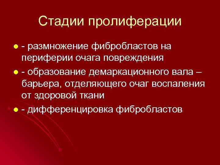 Стадии пролиферации - размножение фибробластов на периферии очага повреждения l - образование демаркационного вала