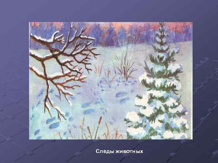 Следы животных 