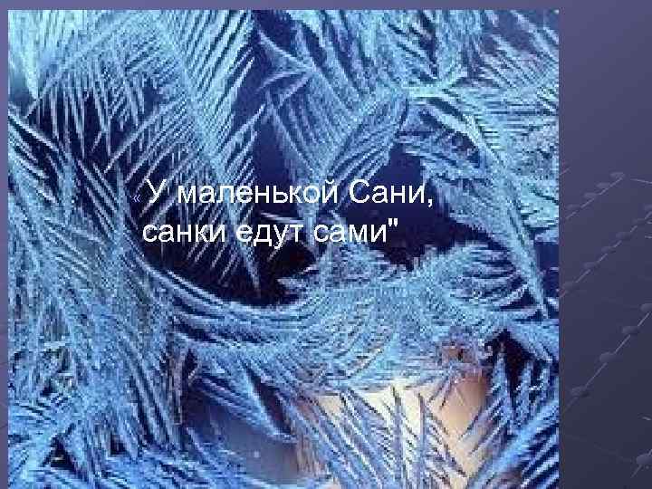 У маленькой Сани, санки едут сами