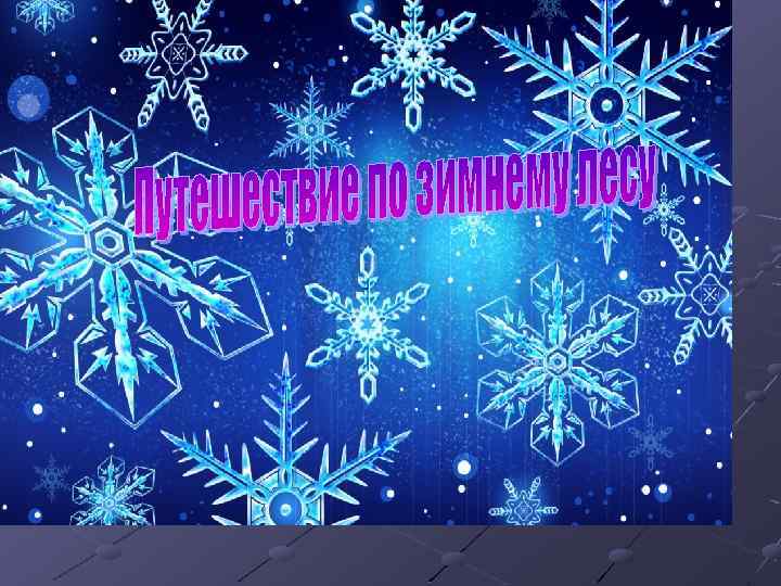 Путешествие по зимнему лесу 