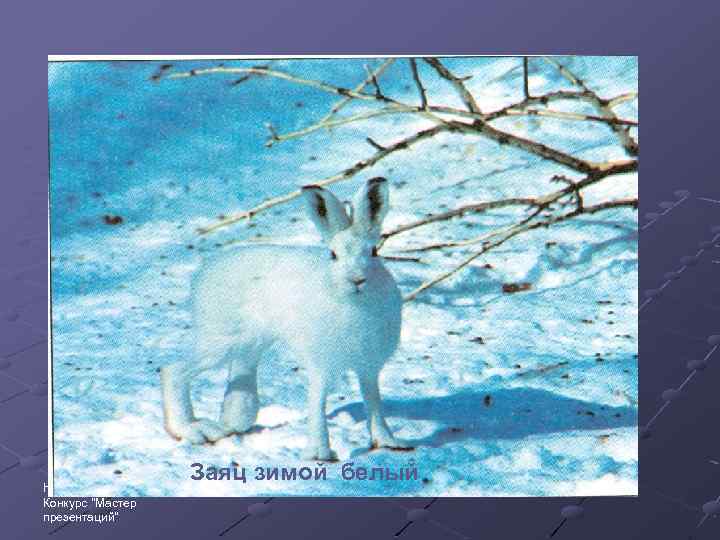 http: //www. deti-66. ru Конкурс 