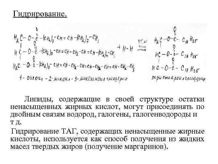 Гидрирование. Липиды, содержащие в своей структуре остатки ненасыщенных жирных кислот, могут присоединять по двойным