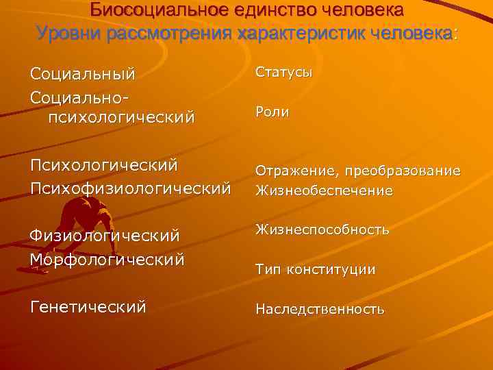Биосоциальное единство человека Уровни рассмотрения характеристик человека: Социальный Социальнопсихологический Психофизиологический Статусы Роли Отражение, преобразование