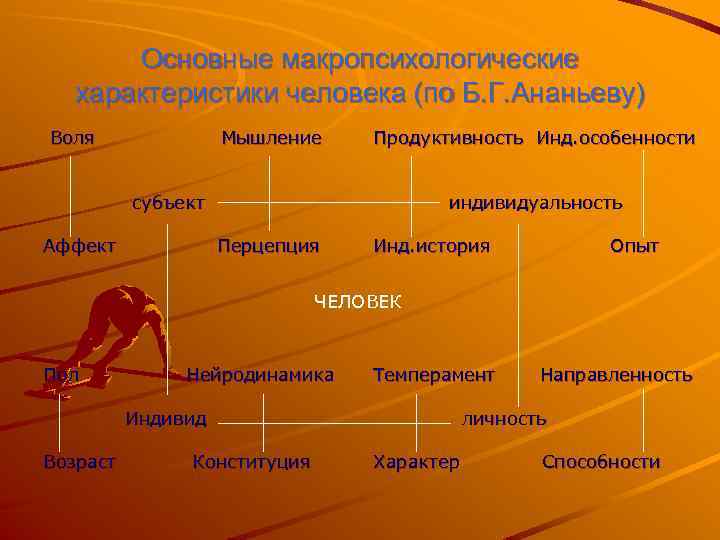 Основные макропсихологические характеристики человека (по Б. Г. Ананьеву) Воля Мышление Продуктивность Инд. особенности субъект